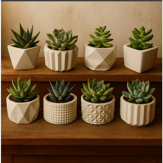 Vasinhos Decorativos com Cactos e Plantas Artificiais - Gesso e Design Moderno(KIT 4 VASINHOS)